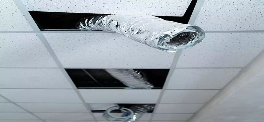 Affordable HVAC Sanitizing After Pest Removal in Council Bluffs