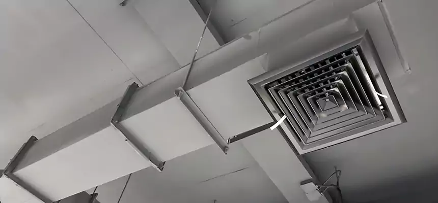 Our Rodent Droppings In Vents Services in Council Bluffs, IA