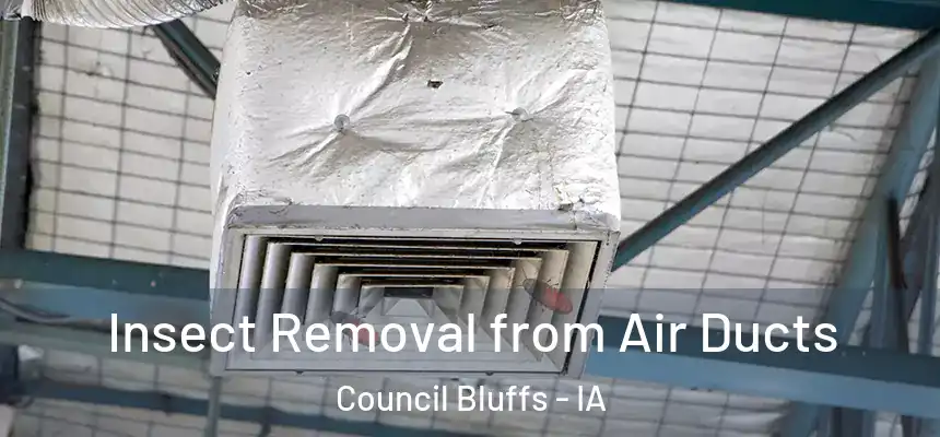  Insect Removal from Air Ducts Council Bluffs - IA