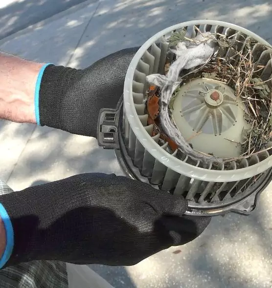 About Air Duct Rat Removal in Council Bluffs, IA