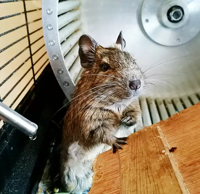 Why Homeowners & Businesses Trust Us Council Bluffs, IA